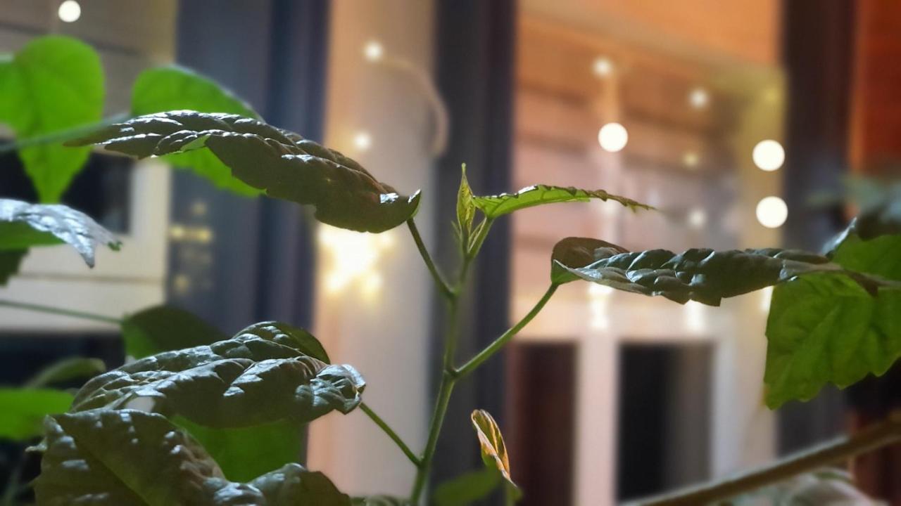 Appartamento Stara Szkola W Weremowicach Weremowice Esterno foto